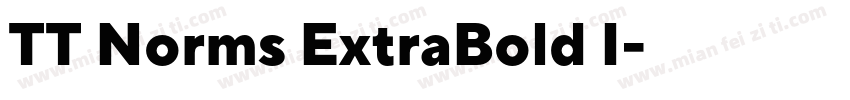 TT Norms ExtraBold I字体转换